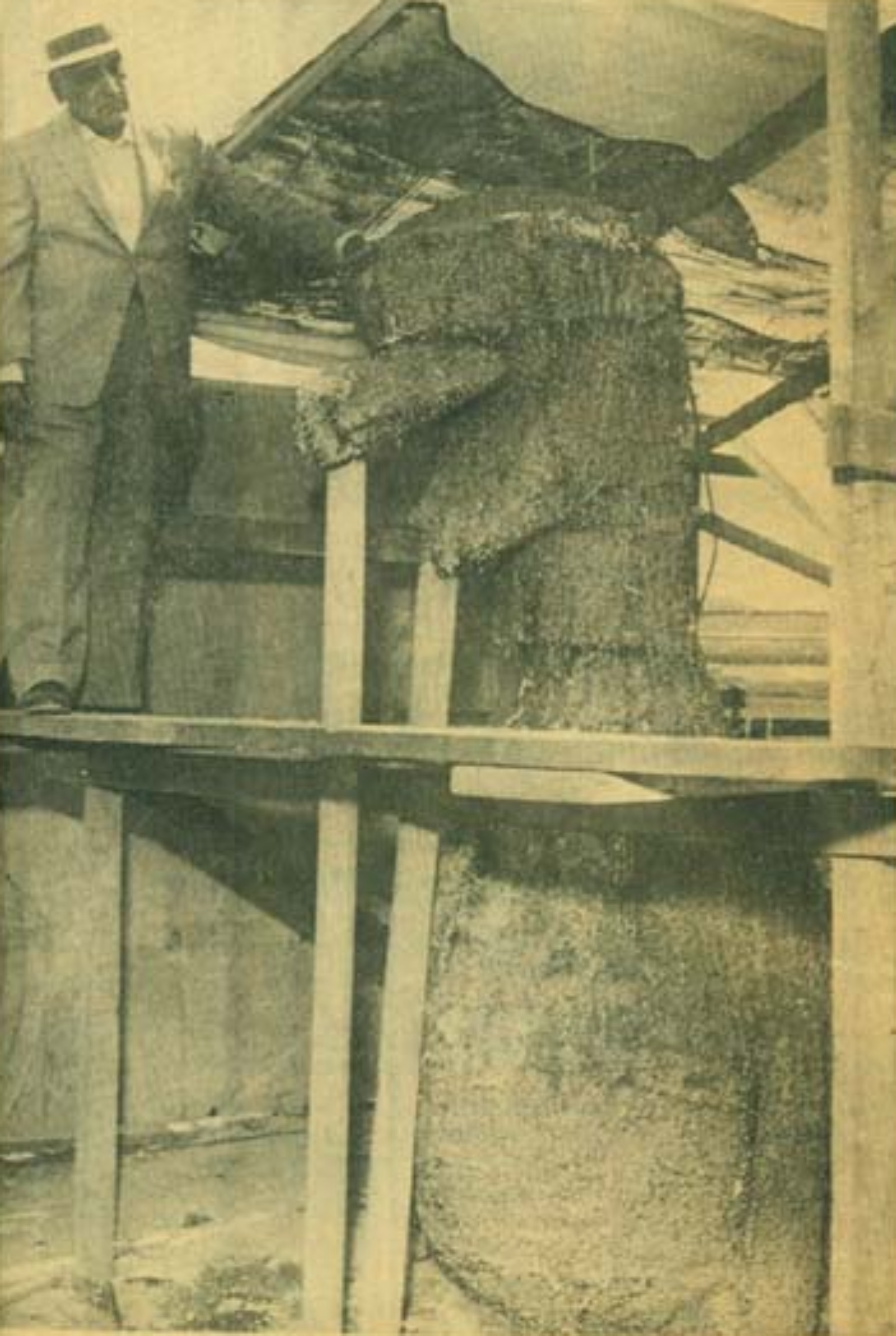 Benjam&iacute;n Dom&iacute;nguez next to "happy dragon"